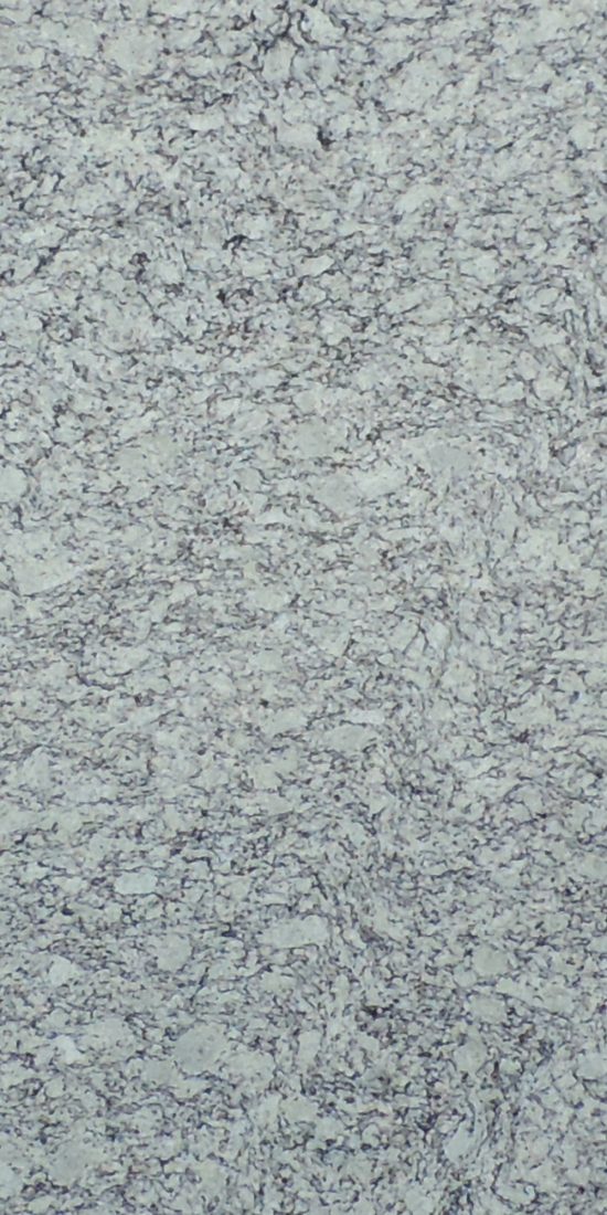 DSCN2811_WHITE FROST